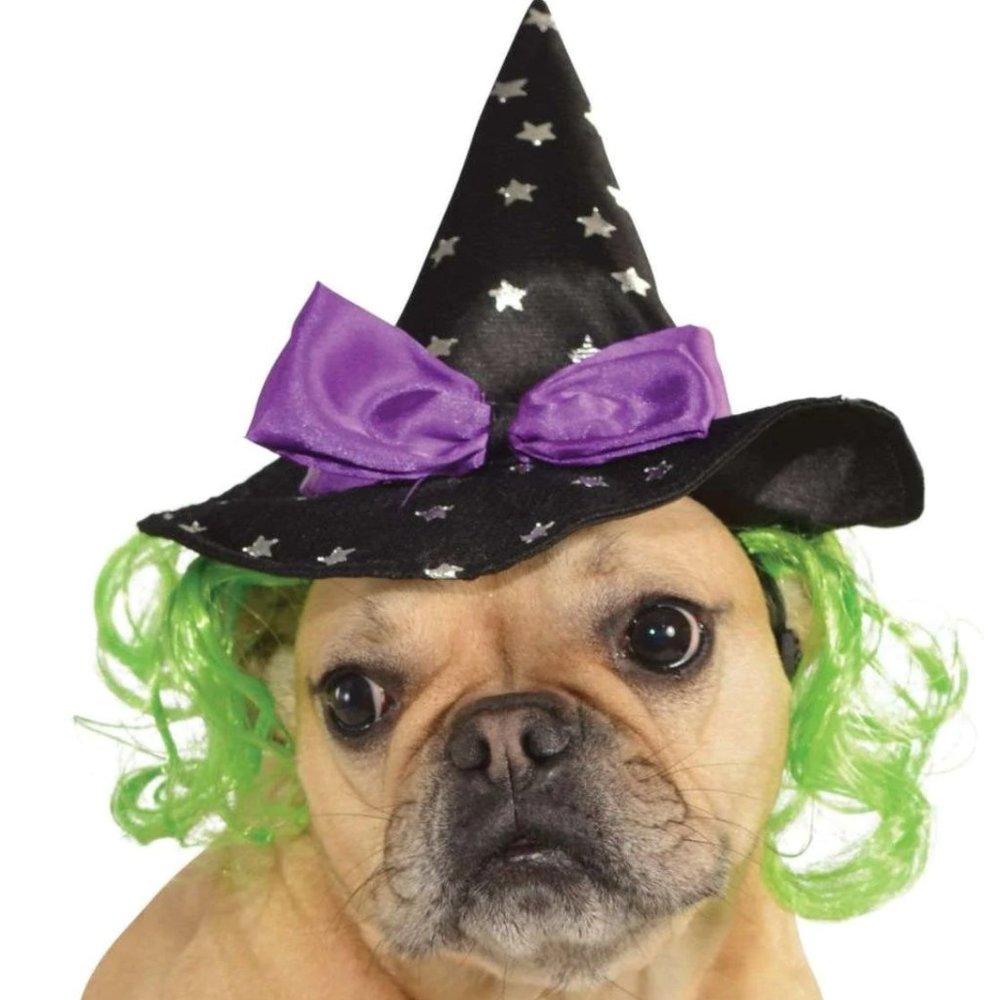 NWT Witch Hat With Green Hair for dogs or cats!